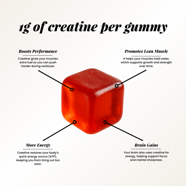 Close-up of a red Creatini Creatine Gummy with arrows pointing to benefits: boosts performance, promotes lean muscle, more energy, and brain gains. Each gummy contains 1g of creatine for strength, muscle support, energy, and focus.