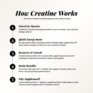 Creatine infographic with five steps: 1) Stored in muscles as phosphocreatine, 2) Provides quick energy boost by regenerating ATP, 3) Supports recovery and lean muscle growth, 4) Improves brain focus and clarity, 5) Supplements ensure optimal creatine levels for consistent results. Footer notes creatine is one of the most researched supplements and emphasizes “No shaker, no clumps, no problem.”