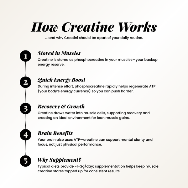 Creatine infographic with five steps: 1) Stored in muscles as phosphocreatine, 2) Provides quick energy boost by regenerating ATP, 3) Supports recovery and lean muscle growth, 4) Improves brain focus and clarity, 5) Supplements ensure optimal creatine levels for consistent results. Footer notes creatine is one of the most researched supplements and emphasizes “No shaker, no clumps, no problem.”